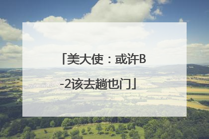 美大使：或许B-2该去趟也门