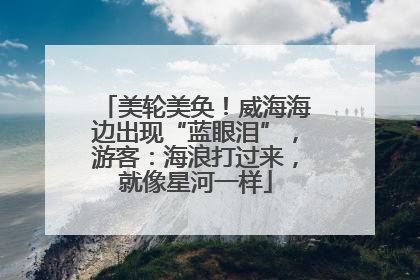 美轮美奂！威海海边出现“蓝眼泪”，游客：海浪打过来，就像星河一样