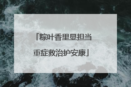 粽叶香里显担当 重症救治护安康