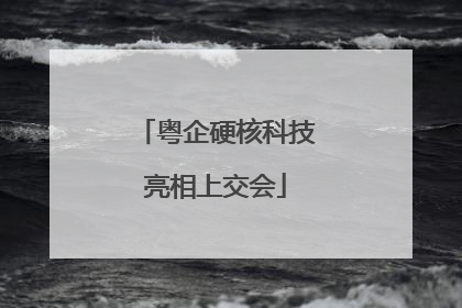 粤企硬核科技亮相上交会