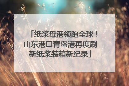 纸浆母港领跑全球！山东港口青岛港再度刷新纸浆装箱新纪录