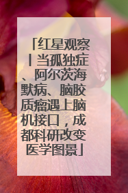 红星观察丨当孤独症、阿尔茨海默病、脑胶质瘤遇上脑机接口，成都科研改变医学图景