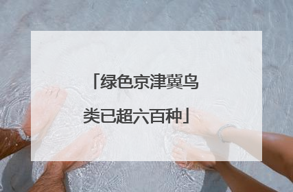 绿色京津冀鸟类已超六百种