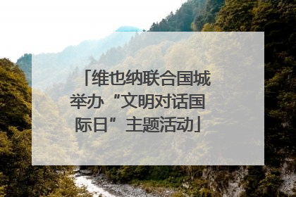 维也纳联合国城举办“文明对话国际日”主题活动