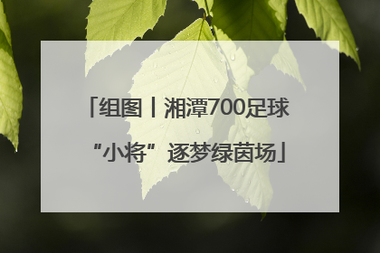 组图丨湘潭700足球“小将”逐梦绿茵场