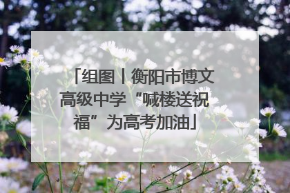 组图丨衡阳市博文高级中学“喊楼送祝福”为高考加油