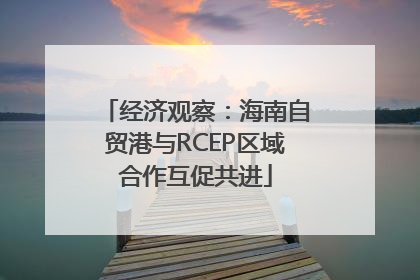 经济观察：海南自贸港与RCEP区域合作互促共进