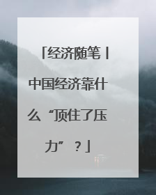 经济随笔丨中国经济靠什么“顶住了压力”？