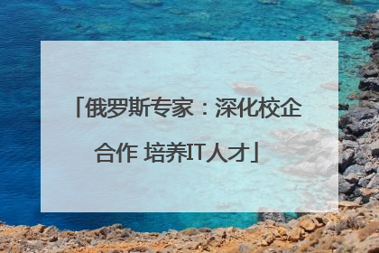 俄罗斯专家：深化校企合作 培养IT人才