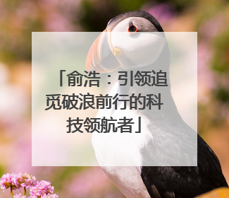 俞浩：引领追觅破浪前行的科技领航者