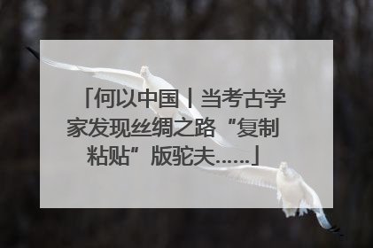 何以中国丨当考古学家发现丝绸之路“复制粘贴”版驼夫……