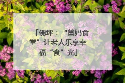 佛坪：“爸妈食堂”让老人乐享幸福“食”光