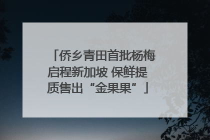 侨乡青田首批杨梅启程新加坡 保鲜提质售出“金果果”