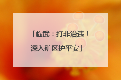 临武：打非治违！深入矿区护平安