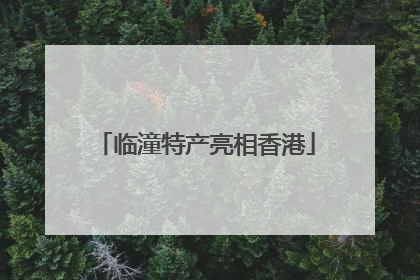 临潼特产亮相香港