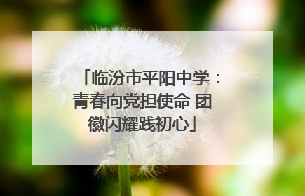 临汾市平阳中学：青春向党担使命 团徽闪耀践初心