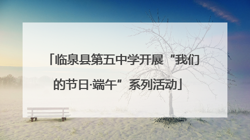 临泉县第五中学开展“我们的节日·端午”系列活动