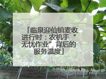 临泉迎仙镇麦收进行时：农机手“无忧作业”背后的服务温度