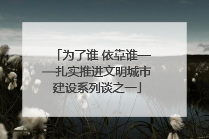 为了谁 依靠谁——扎实推进文明城市建设系列谈之一