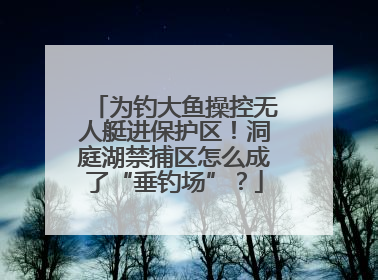 为钓大鱼操控无人艇进保护区！洞庭湖禁捕区怎么成了“垂钓场”？