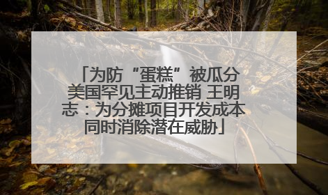 为防“蛋糕”被瓜分 美国罕见主动推销 王明志：为分摊项目开发成本同时消除潜在威胁
