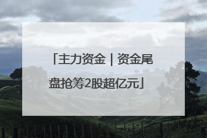 主力资金｜资金尾盘抢筹2股超亿元