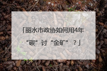 丽水市政协如何用4年“碳”讨“金矿”？