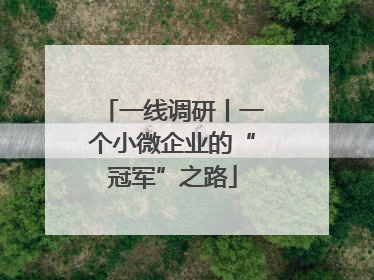 一线调研丨一个小微企业的“冠军”之路