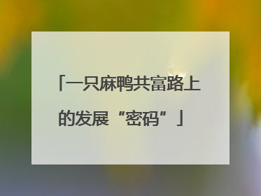 一只麻鸭共富路上的发展“密码”