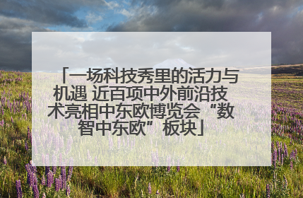 一场科技秀里的活力与机遇 近百项中外前沿技术亮相中东欧博览会“数智中东欧”板块