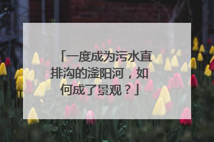 一度成为污水直排沟的滏阳河，如何成了景观？