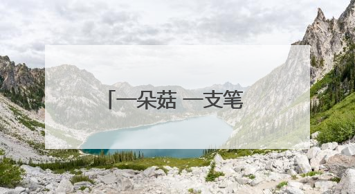 一朵菇 一支笔 一根竹 何以撬动浙江山区百亿产业？