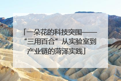 一朵花的科技突围——“三用百合”从实验室到产业链的菏泽实践