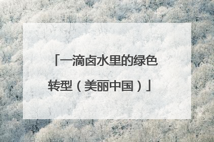 一滴卤水里的绿色转型（美丽中国）