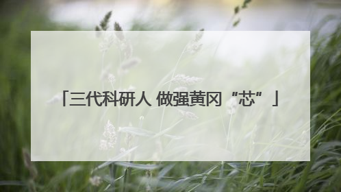 三代科研人 做强黄冈“芯”