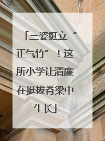 三姿挺立“正气竹”！这所小学让清廉在挺拔脊梁中生长