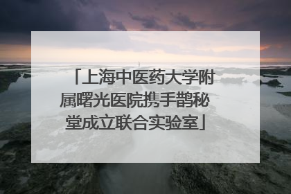 上海中医药大学附属曙光医院携手鹊秘堂成立联合实验室