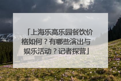 上海乐高乐园餐饮价格如何？有哪些演出与娱乐活动？记者探营