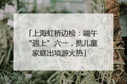 上海虹桥边检：端午“遇上”六一，携儿童家庭出境游火热