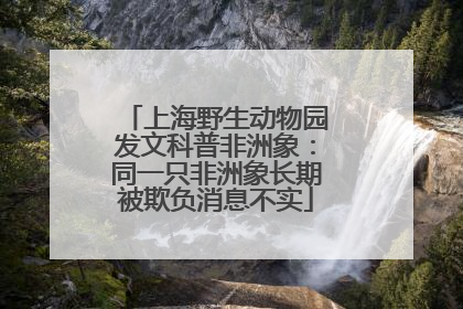 上海野生动物园发文科普非洲象：同一只非洲象长期被欺负消息不实