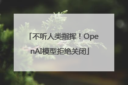 不听人类指挥！OpenAI模型拒绝关闭