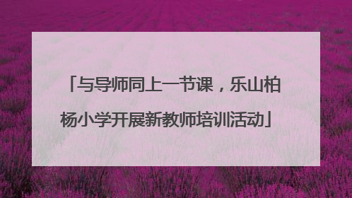 与导师同上一节课，乐山柏杨小学开展新教师培训活动