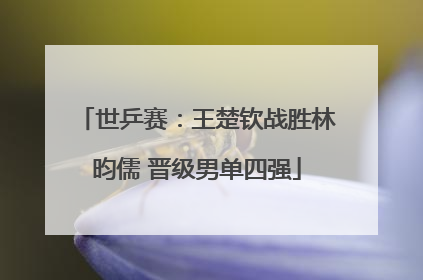 世乒赛：王楚钦战胜林昀儒 晋级男单四强
