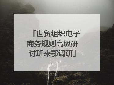 世贸组织电子商务规则高级研讨班来鄂调研