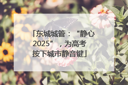 东城城管：“静心2025”，为高考按下城市静音键