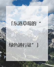 东港草莓的“绿色通行证”