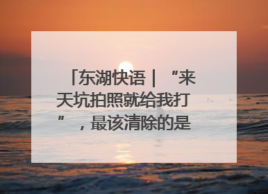东湖快语｜“来天坑拍照就给我打”，最该清除的是“护短”思维