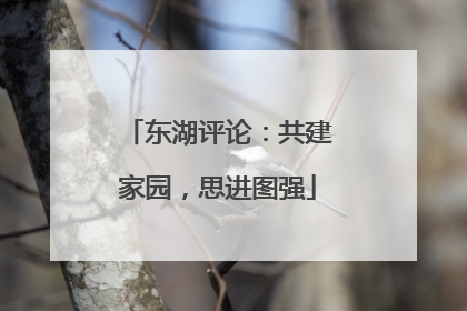 东湖评论：共建家园，思进图强