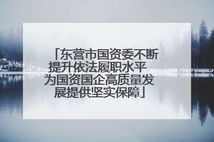 东营市国资委不断提升依法履职水平 为国资国企高质量发展提供坚实保障