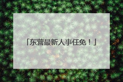 东营最新人事任免！